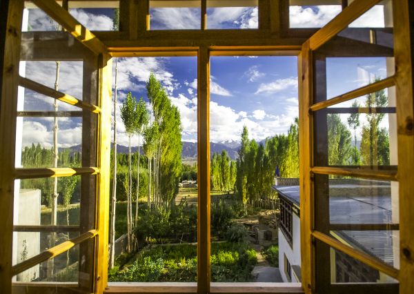 Cost of Wood Window Replacement in Fort Worth