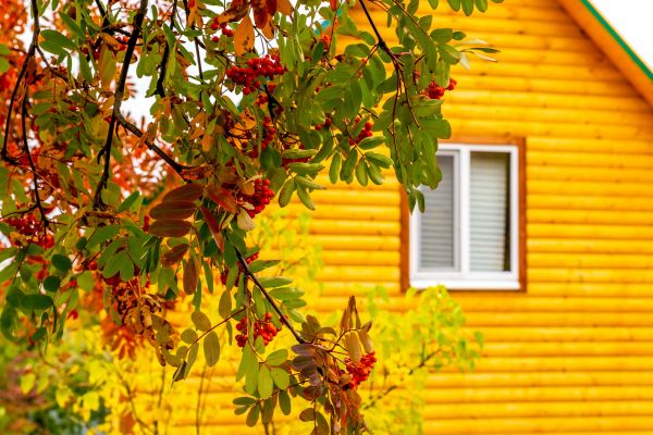 Cost of Garden Window Replacement in Fort Worth